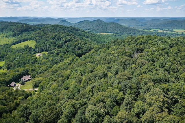 0 Buffalo Valley Rd, Silver Point, TN 38582 - photo 13