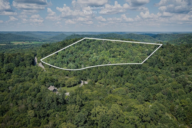 0 Buffalo Valley Rd, Silver Point, TN 38582 - photo 1