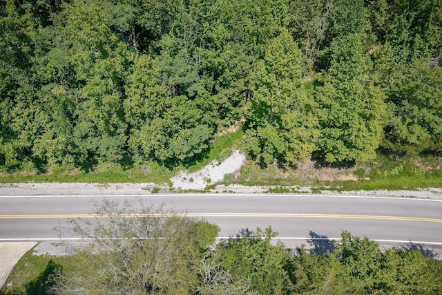 0 Buffalo Valley Rd, Silver Point, TN 38582 - photo 3