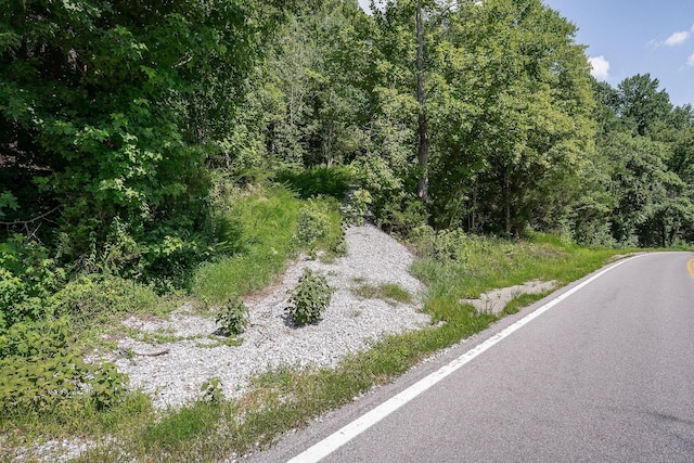 0 Buffalo Valley Rd, Silver Point, TN 38582 - photo 18