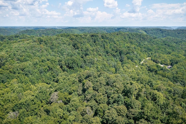 0 Buffalo Valley Rd, Silver Point, TN 38582 - photo 9