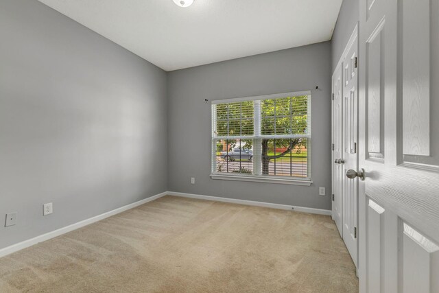 5623 Hickory Park Dr, Antioch, TN 37013 - photo 24