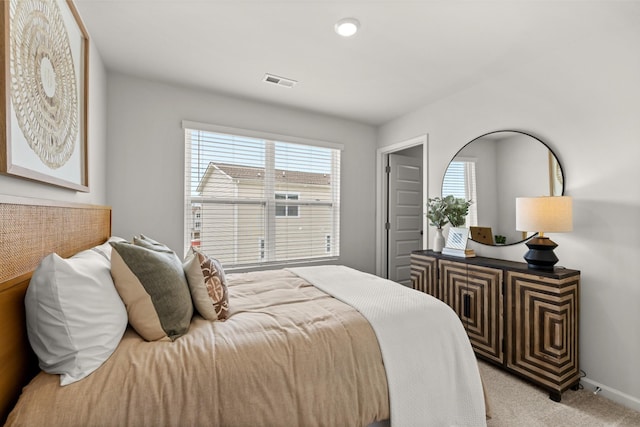1103 Harper Lndg, Chapel Hill, TN 37034 - photo 31