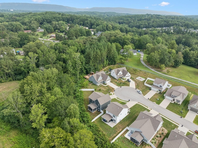 1164 Majors Way, Hixson, TN 37343 - photo 45