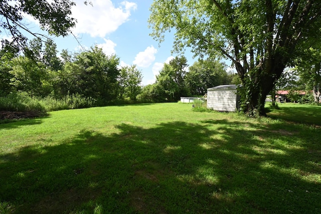 564 Horseshoe Bend Rd, Linden, TN 37096 - photo 4