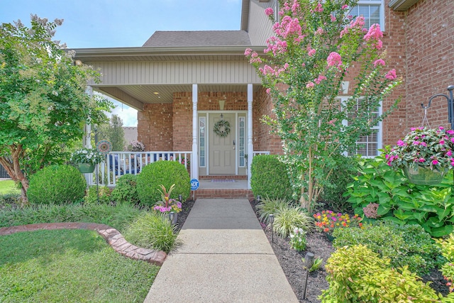 5036 Republic Ave, Murfreesboro, TN 37129 - photo 2