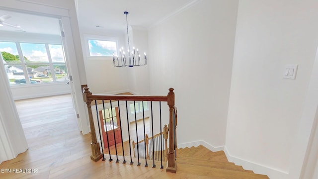 7837 Lake Mountain Ln, Knoxville, TN 37938 - photo 16