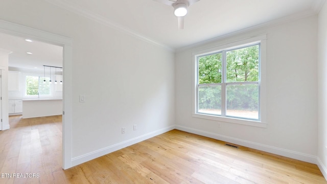 7837 Lake Mountain Ln, Knoxville, TN 37938 - photo 13