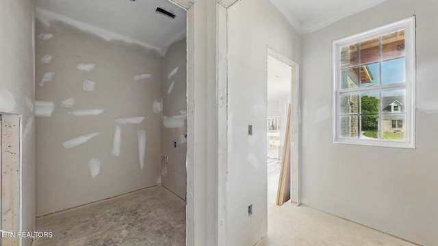 8109 Carolina Cherry Ln, Knoxville, TN 37919 - photo 6
