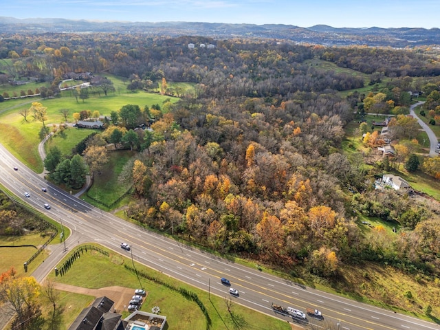 4087 Murfreesboro Rd W, Franklin, TN 37067 - photo 26