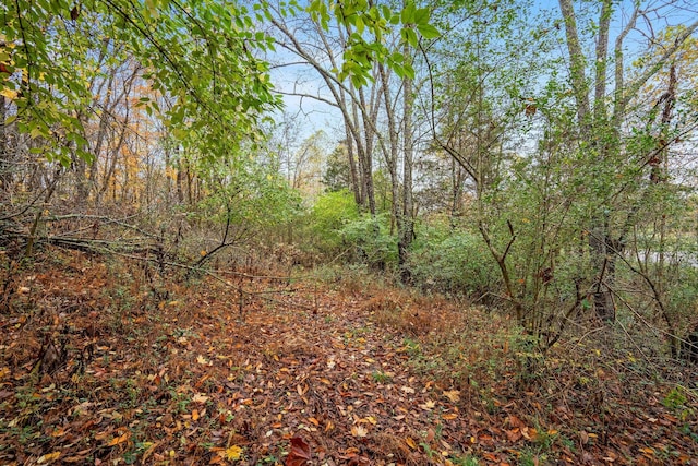 4087 Murfreesboro Rd W, Franklin, TN 37067 - photo 5