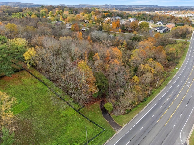4087 Murfreesboro Rd W, Franklin, TN 37067 - photo 7