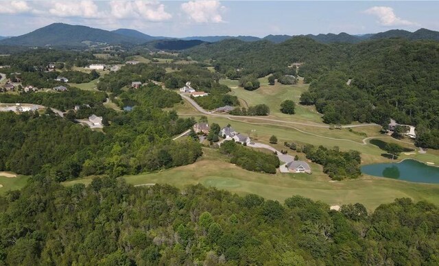 0 Wedge Way, Tazewell, TN 37879 - photo 14