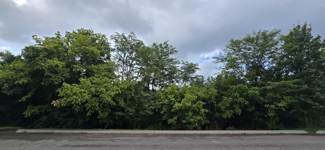 0 Wedge Way, Tazewell, TN 37879 - photo 7