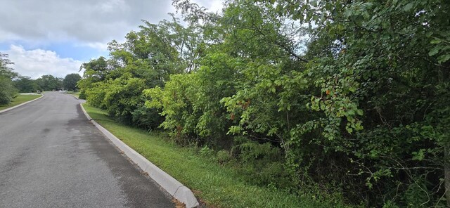 0 Wedge Way, Tazewell, TN 37879 - photo 6