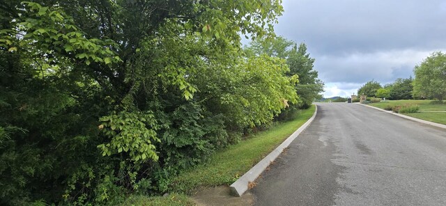 0 Wedge Way, Tazewell, TN 37879 - photo 5