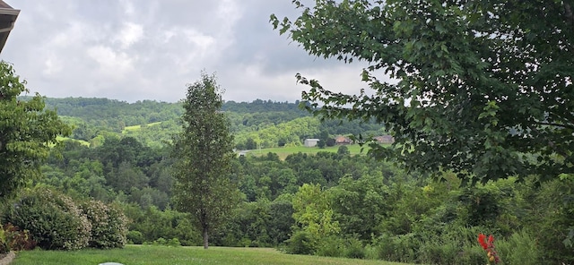 0 Wedge Way, Tazewell, TN 37879 - photo 2