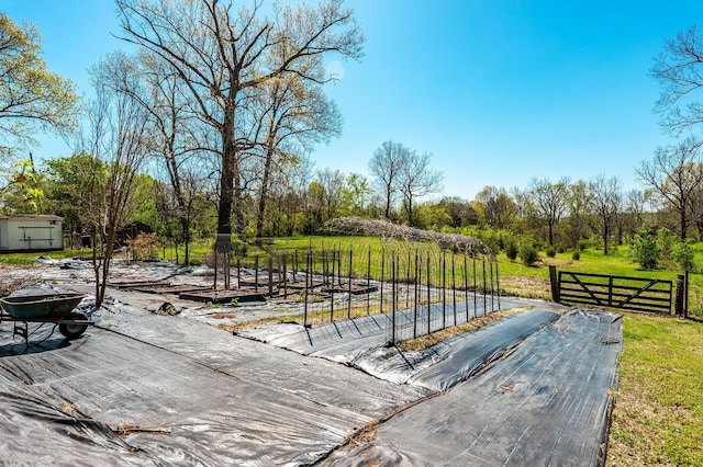 50 Academy Rd, Lebanon, TN 37087 - photo 28