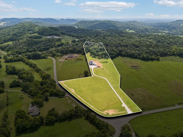 0 Giles Hill Rd, College Grove, TN 37046 - photo 4