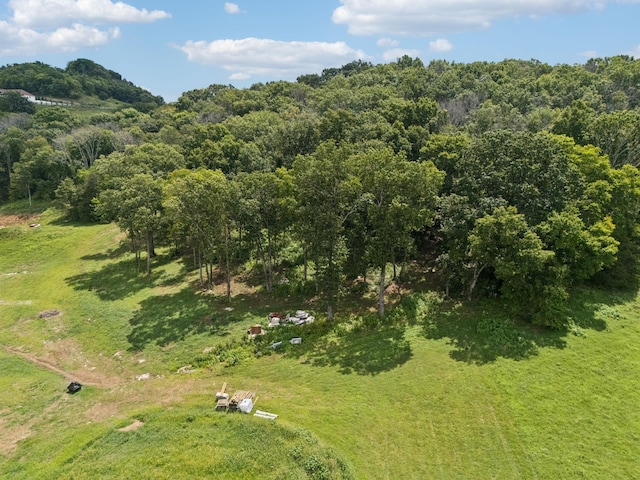 0 Giles Hill Rd, College Grove, TN 37046 - photo 23