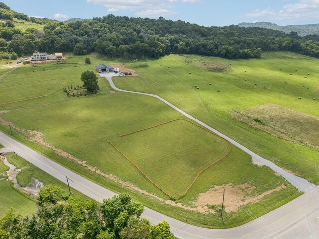 0 Giles Hill Rd, College Grove, TN 37046 - photo 19
