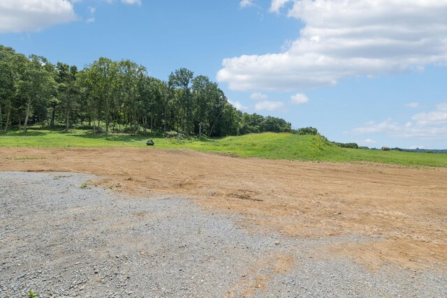 0 Giles Hill Rd, College Grove, TN 37046 - photo 15