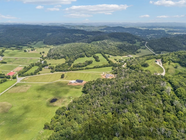 0 Giles Hill Rd, College Grove, TN 37046 - photo 17