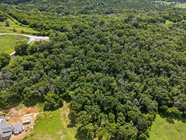 0 Giles Hill Rd, College Grove, TN 37046 - photo 26
