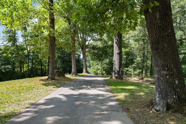 4572 Hickory Hill Rd, Pegram, TN 37143 - photo 5