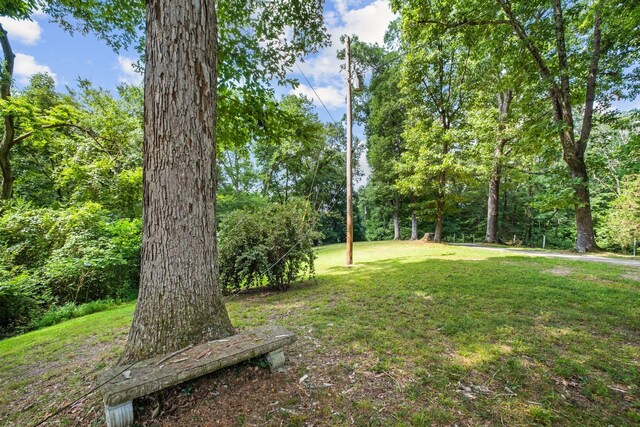4572 Hickory Hill Rd, Pegram, TN 37143 - photo 19