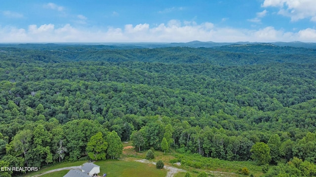0 Hidden Cove Ln, Allons, TN 38541 - photo 10