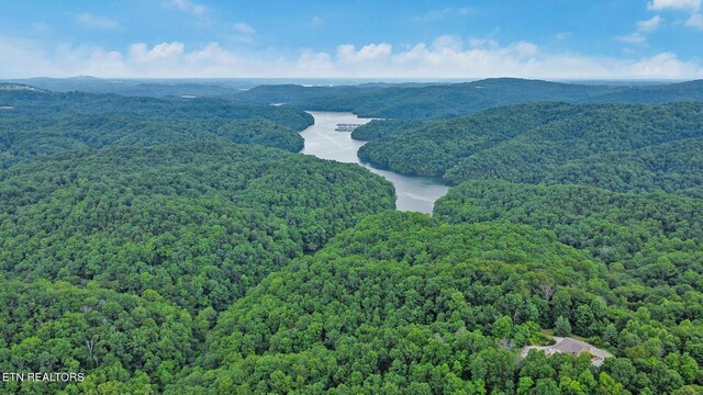 0 Hidden Cove Ln, Allons, TN 38541 - photo 1