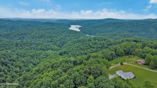 0 Hidden Cove Ln, Allons, TN 38541 - photo 12