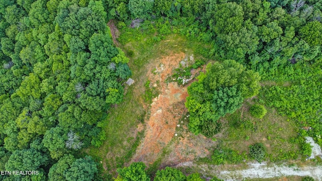 0 Hidden Cove Ln, Allons, TN 38541 - photo 8