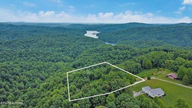 0 Hidden Cove Ln, Allons, TN 38541 - photo 2