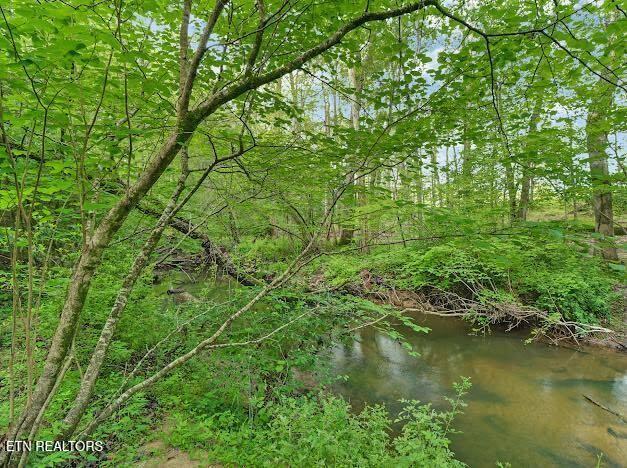55 Rocky Ln, Crossville, TN 38571 - photo 43