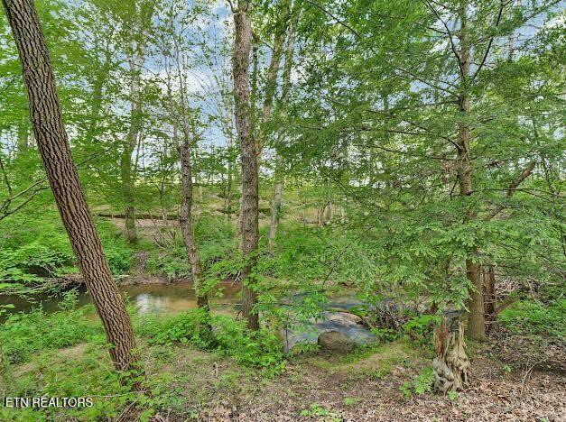 55 Rocky Ln, Crossville, TN 38571 - photo 44