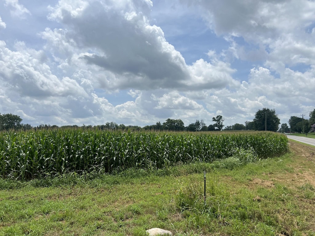 4600 Lafayette Rd, Hopkinsville, KY 42240 - photo 2