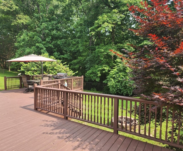 404 Patricia Dr, Ashland City, TN 37015 - photo 31