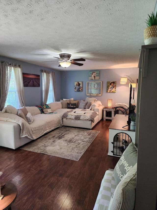 404 Patricia Dr, Ashland City, TN 37015 - photo 40