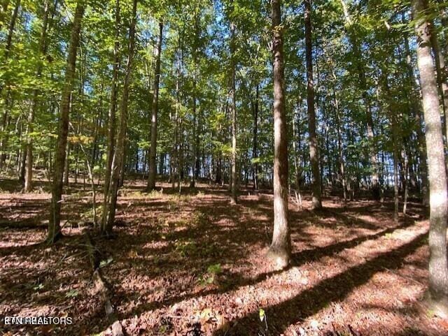 0 Partridge Trl, Grandview, TN 37337 - photo 6