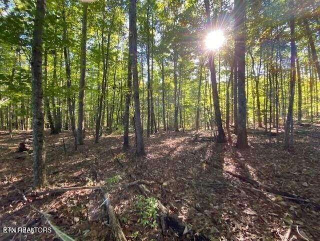 0 Partridge Trl, Grandview, TN 37337 - photo 1