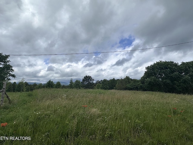 0 Tower Rd, Grandview, TN 37337 - photo 3