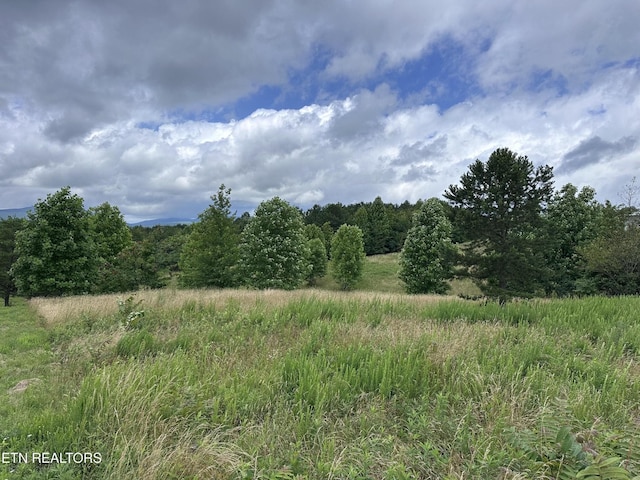 0 Tower Rd, Grandview, TN 37337 - photo 2