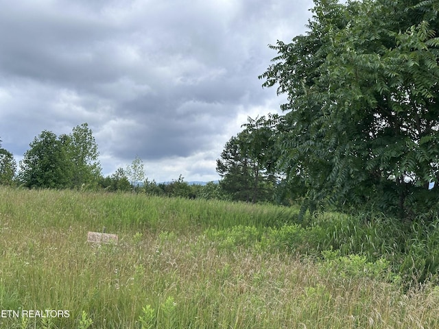 0 Tower Rd, Grandview, TN 37337 - photo 7