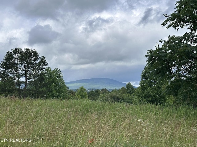 0 Tower Rd, Grandview, TN 37337 - photo 1
