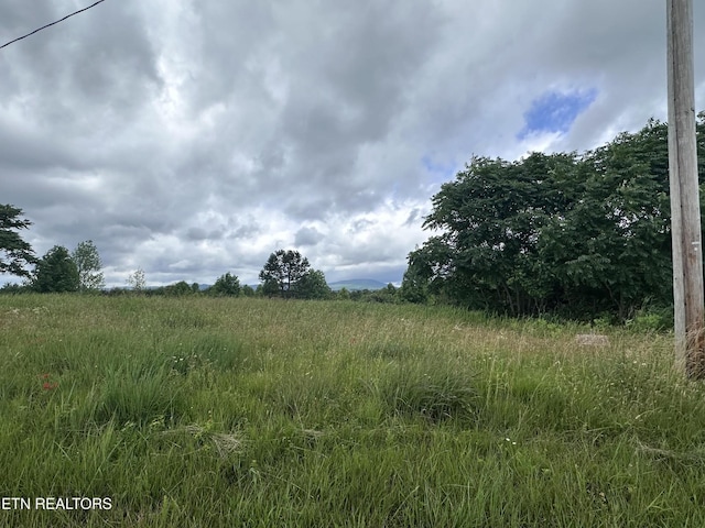 0 Tower Rd, Grandview, TN 37337 - photo 4