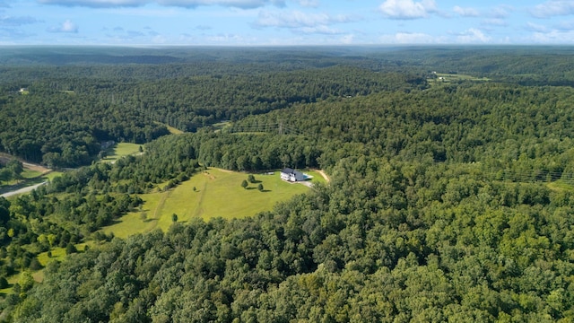 201 Potts Rd, Hohenwald, TN 38462 - photo 43
