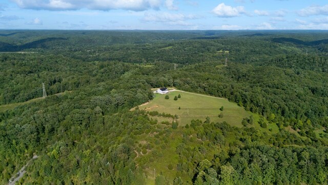 201 Potts Rd, Hohenwald, TN 38462 - photo 46