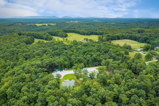 137 Allens Way, Crossville, TN 38572 - photo 48